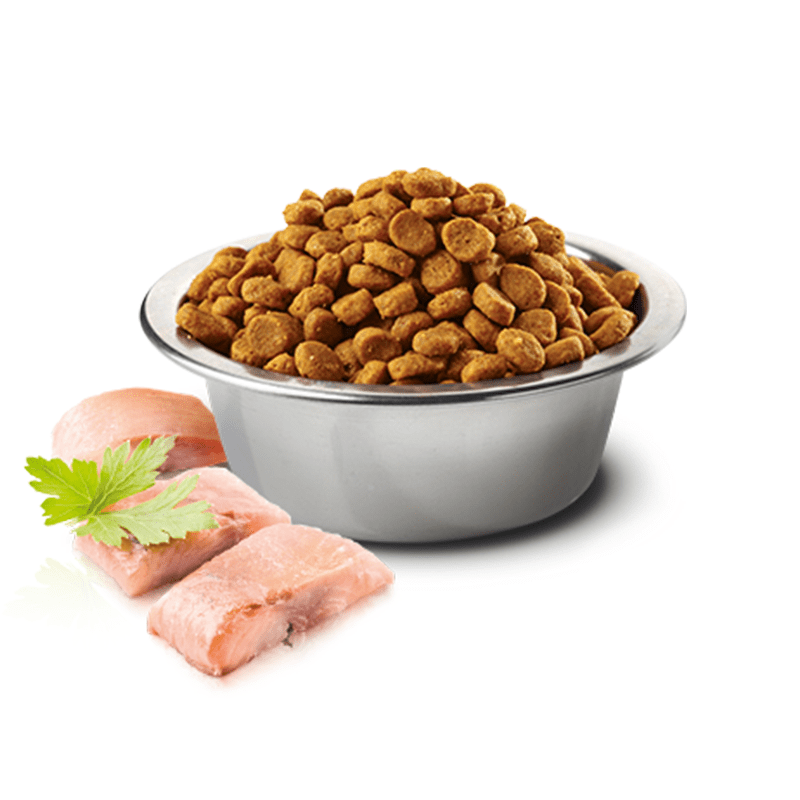 Farmina N&D Grain Free Ocean Herring and Orange Adult Cat Food Deccan