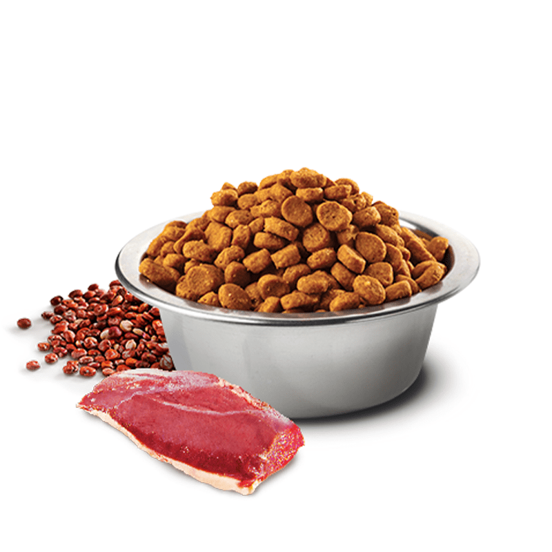 Farmina N&D Quinoa Skin and Coat Duck Adult Dog Food