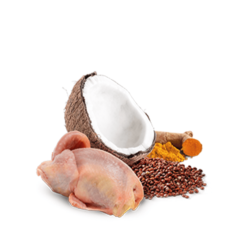 Farmina N&D Quinoa (Skin & Coat) Wet Cat Food Quail & Coconut 80