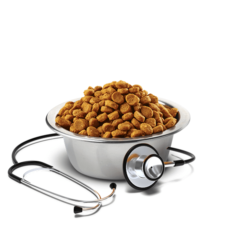 Farmina Vet Life Hypoallergenic Fish & Potato Canine Formula Dog Food