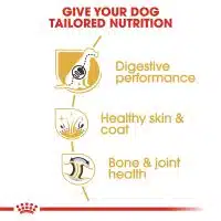 royal canin german shepherd adult