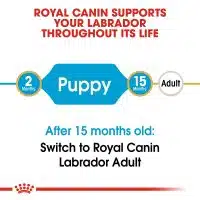royal canin labrador puppy