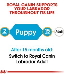 royal canin labrador puppy