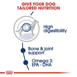 Royal Canin Maxi Adult - Image 3