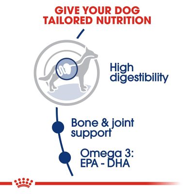 Royal Canin Maxi Adult - Image 3