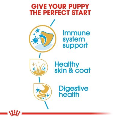 Royal Canin Golden Retriever Puppy 12Kg - Image 4