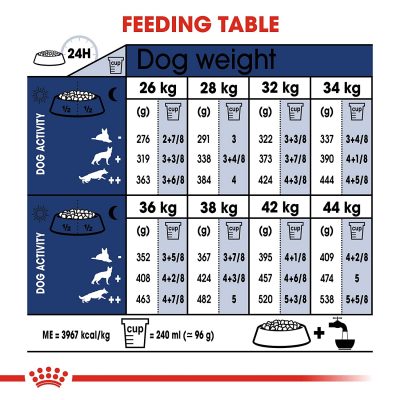 Royal Canin Maxi Adult - Image 8