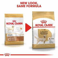Royal Canin Labrador Adult 12 kg FREE Slow Down Feeder Bowl - Image 5
