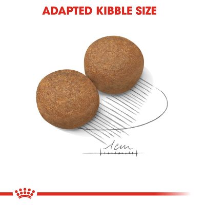 Royal Canin Maxi Adult - Image 7