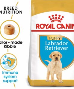 royal canin labrador puppy