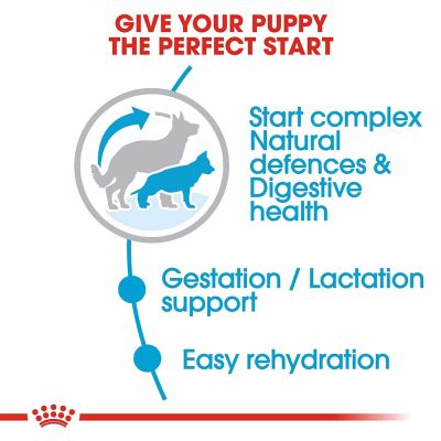 Royal Canin Maxi Starter - Image 6