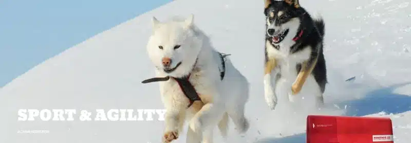acana sport & agility