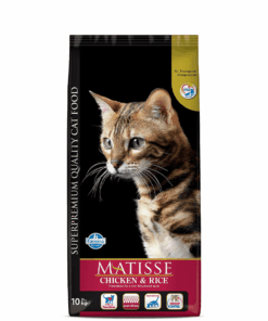 matisse chicken and rice