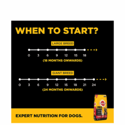 Pedigree Professional