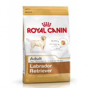 royal canin labrador adult