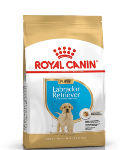 royal canin labrador puppy