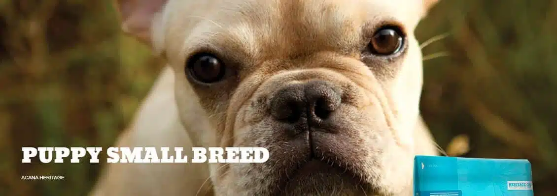 Acana Puppy Small Breed