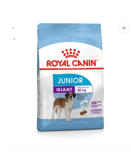 royal canin giant junior