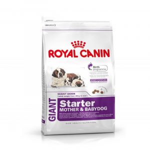 royal canin giant starter
