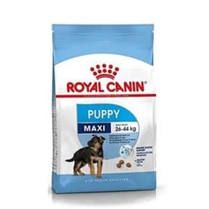 ROYAL CANIN Maxi Puppy
