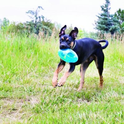 Kong Jumbler Football - Image 2