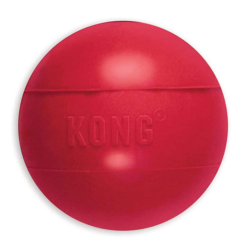 what can you put in a kong ball