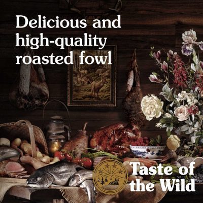 Taste of the Wild Wetlands Canine Recipe Adult Dry Dog Food - Image 2