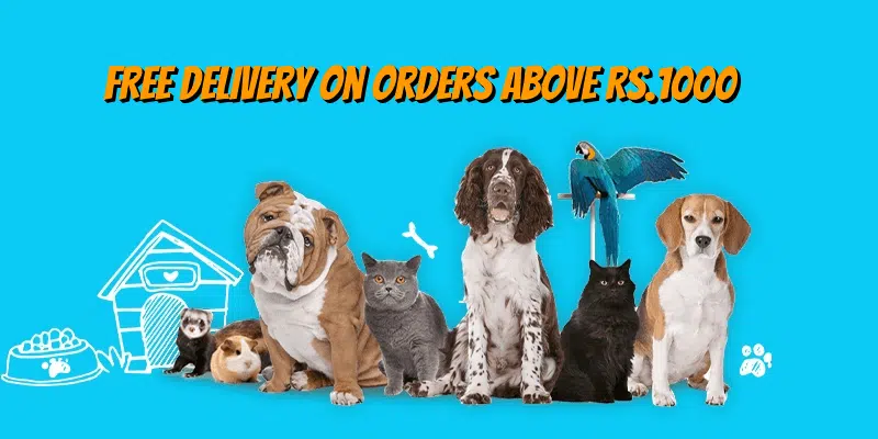 DECCAN PET STORE
