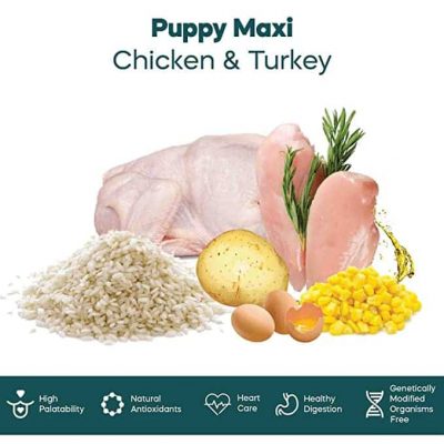 Dibaq Natural Moments Puppy Maxi Chicken & Turkey - Image 5