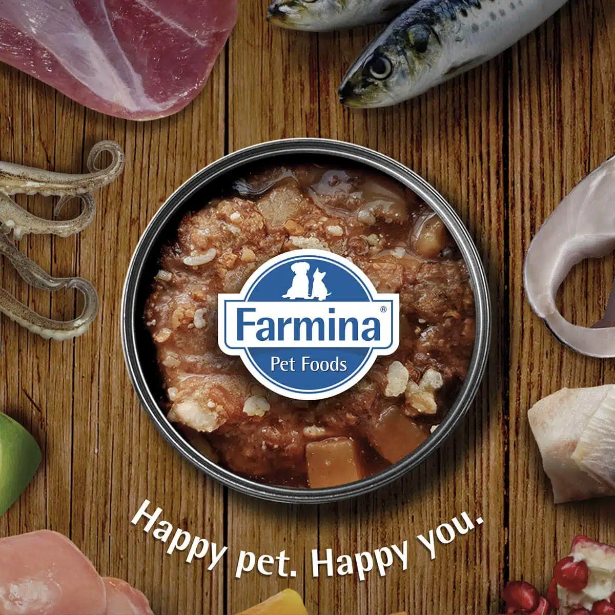FARMINA Matisse CAT Mousse Salmon Wet Food Adult Cat 12 Cans X 80 GMS Each - Image 2