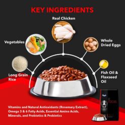 Drools Focus Puppy Super Premium Dry Dog Food 12 kg (+1 kg Free Inside) - Image 4