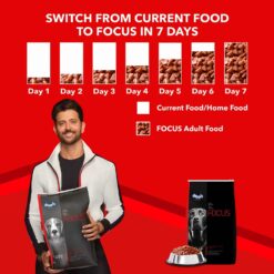Alternative view of Drools Focus Adult Super Premium Dog Food 12 kg (+1kg Extra Free Inside)