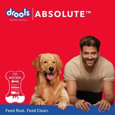 Drools Absolute Milk Bone Jar Dog Treats - 40 Pieces (600 g) - Image 2