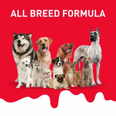 Drools Absolute Milk Bone Jar Dog Treats - 40 Pieces (600 g) - Image 5