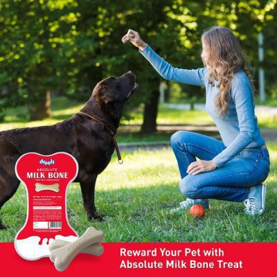 Drools Absolute Milk Bone Jar Dog Treats - 40 Pieces (600 g) - Image 6