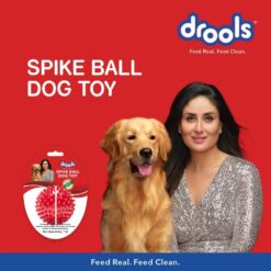 Drools Non-Toxic Rubber Spike Ball Chew Toy Puppy/Dog Teething Toy - 3 inches - Image 3