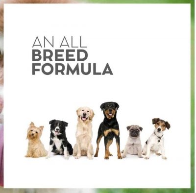 Drools vet pro Gastrointestinal