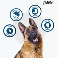 Fidele Adult Large Breed Dry Dog Food Chicken with Natural Ingredients | No Soy | No Wheat | - Image 9