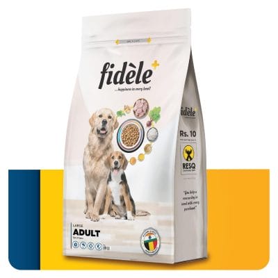 fidele adult large